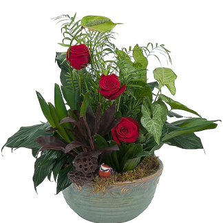 Dish Garden with Fresh Roses