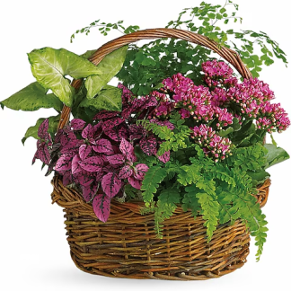Secret Garden Basket